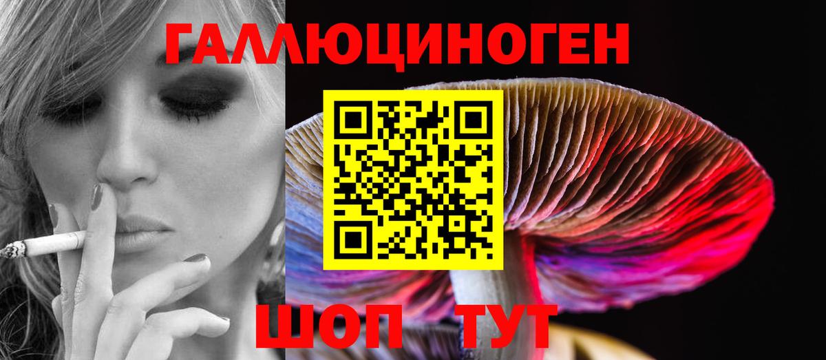 Псилоцибиновые грибы Cubensis Татарск